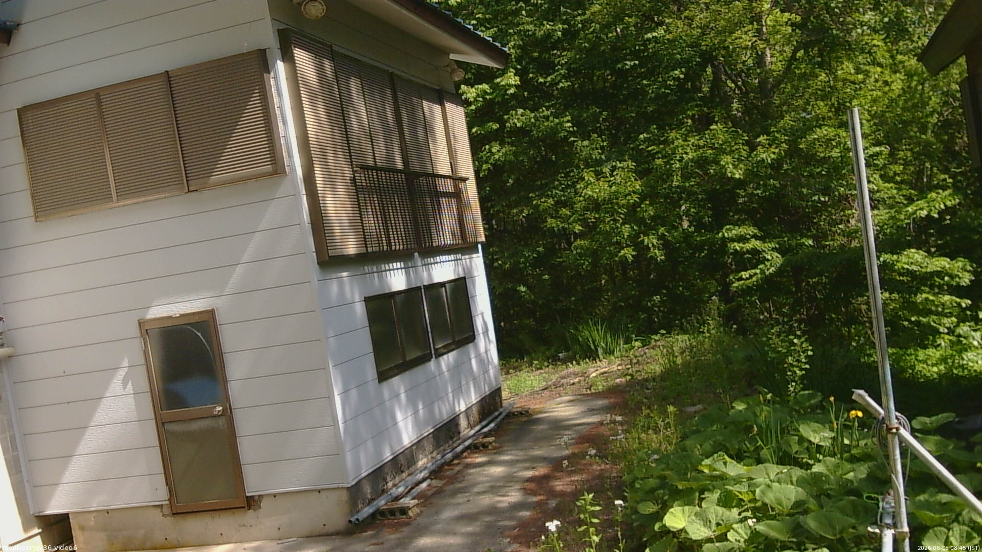 長野県菅平高原 ゆたか山荘 坂下 2026/06/05 08:45