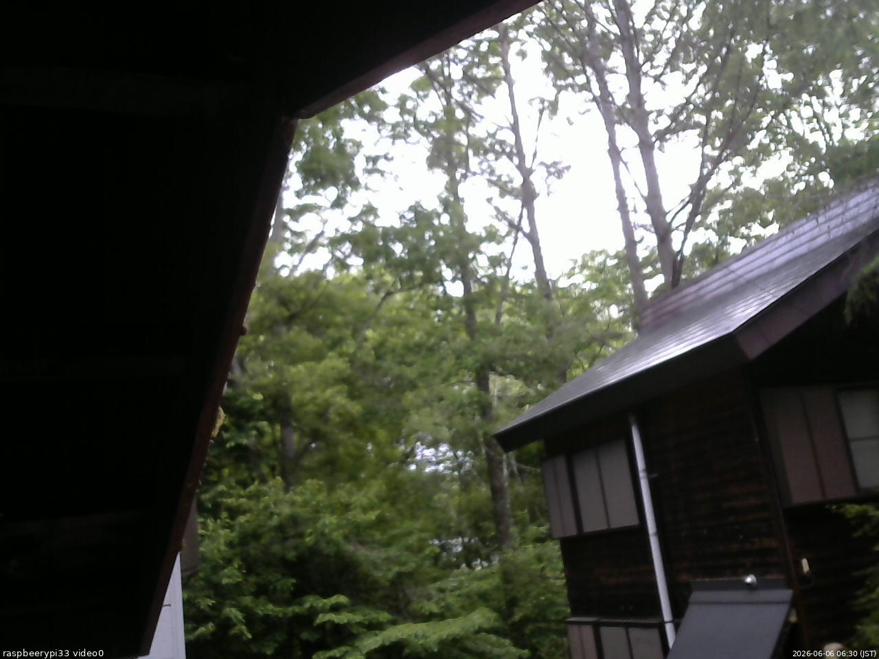 長野県菅平高原 ゆたか山荘 北側 2026/06/06 06:30
