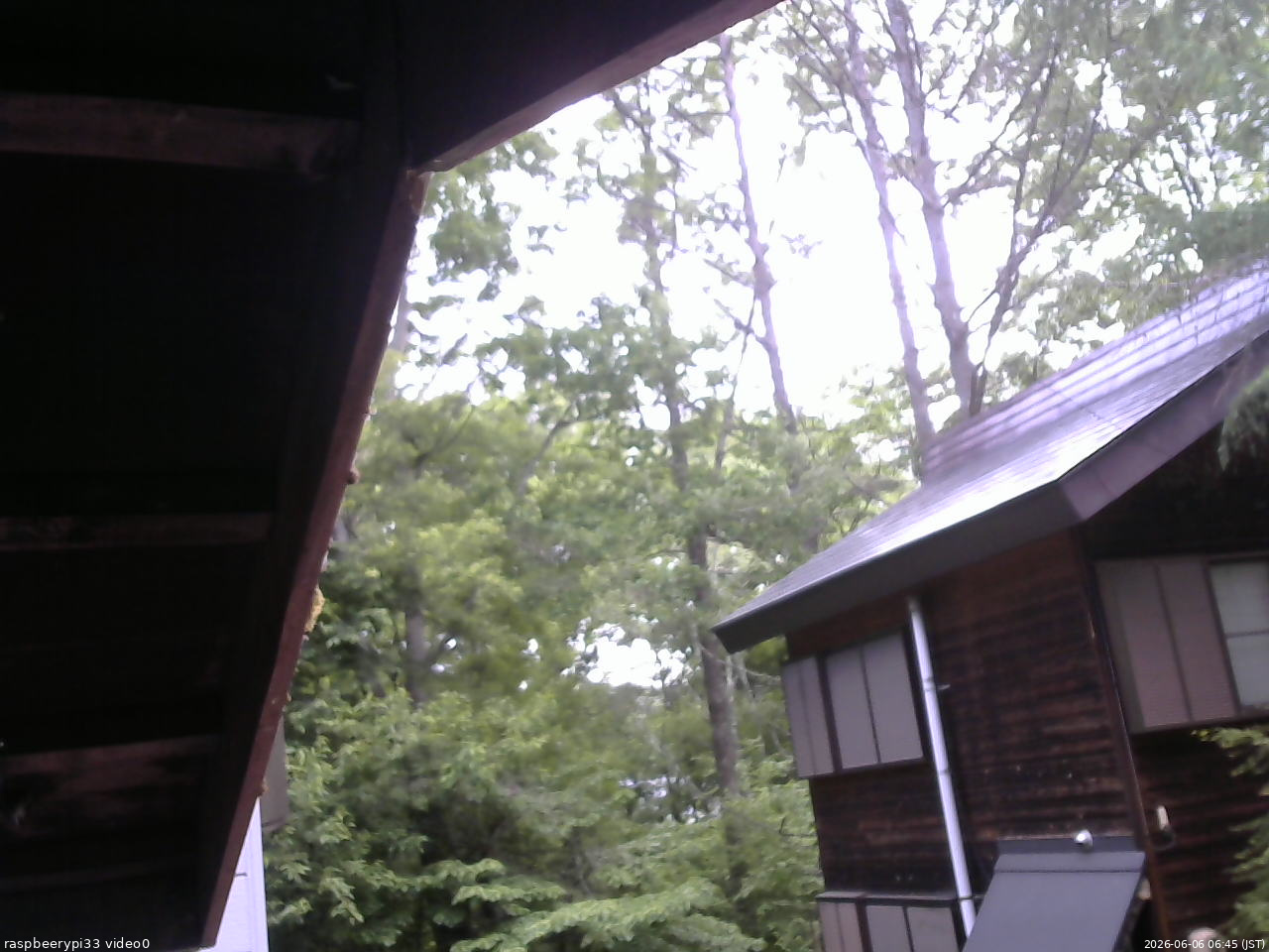 長野県菅平高原 ゆたか山荘 北側 2026/06/06 06:45
