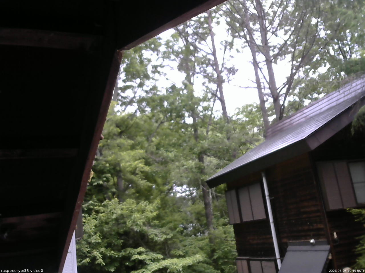 長野県菅平高原 ゆたか山荘 北側 2026/06/06 10:45