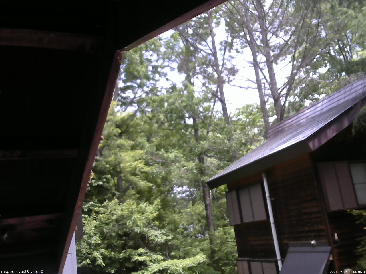 長野県菅平高原 ゆたか山荘 北側 2026/06/06 11:00