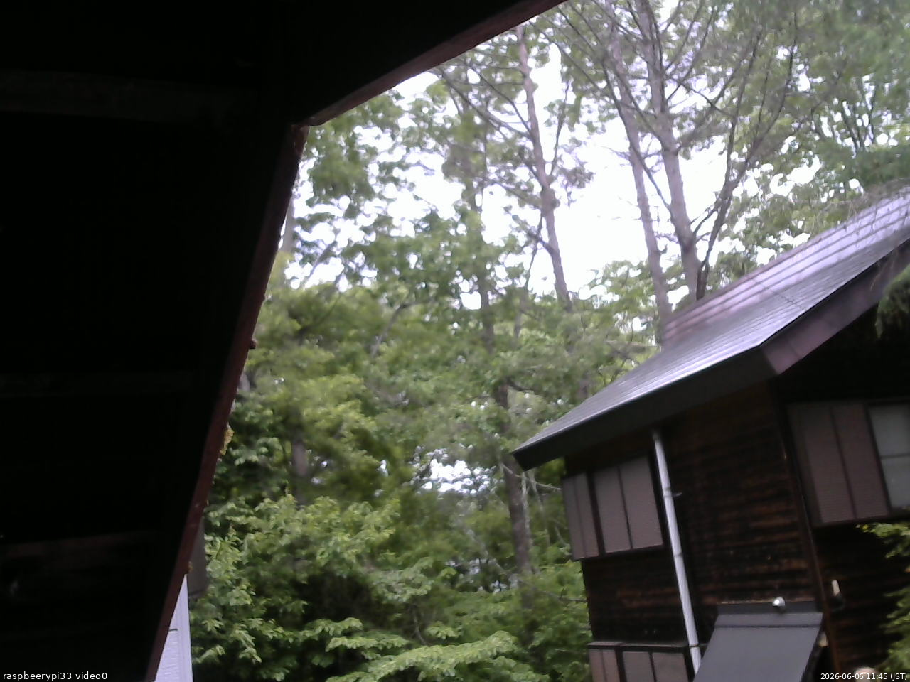 長野県菅平高原 ゆたか山荘 北側 2026/06/06 11:45