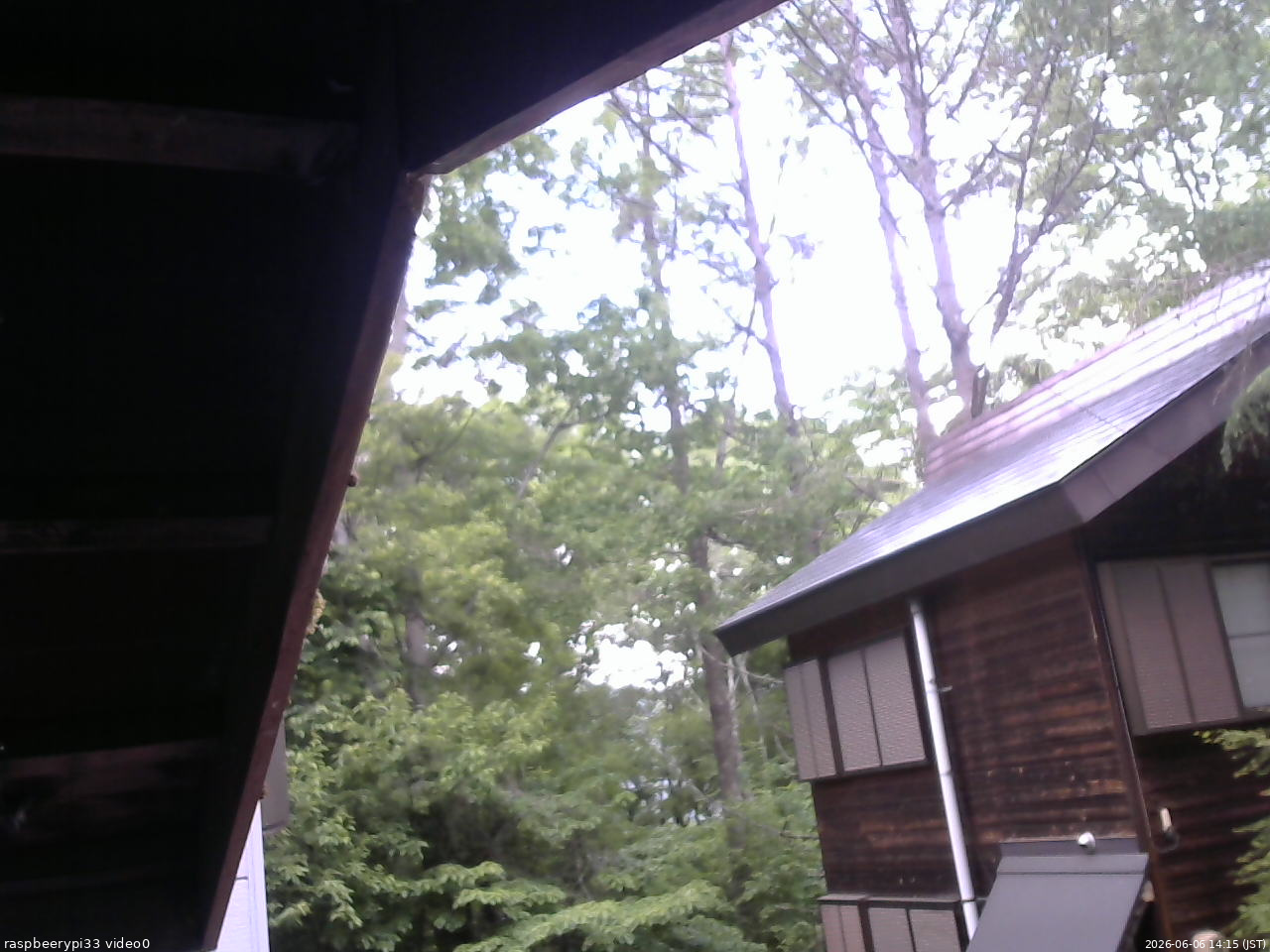 長野県菅平高原 ゆたか山荘 北側 2026/06/06 14:15