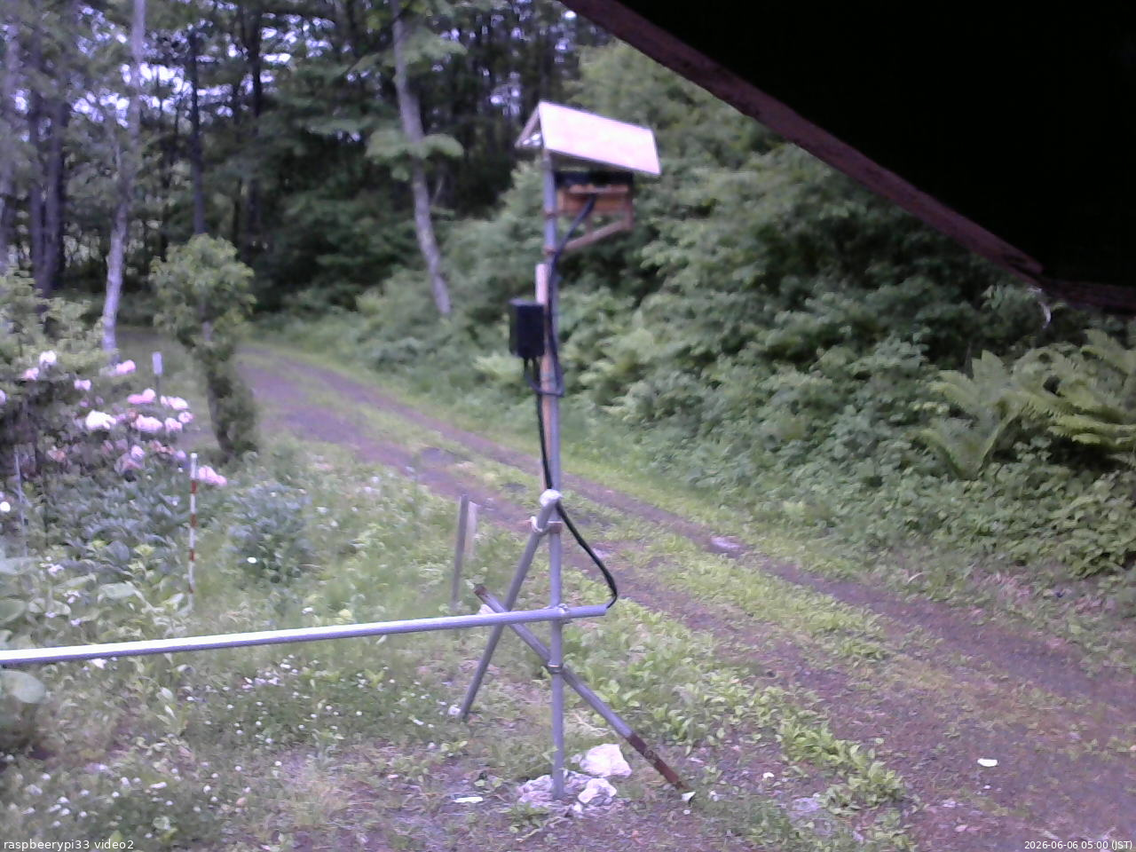 長野県菅平高原 ゆたか山荘 南側 2026/06/06 05:00