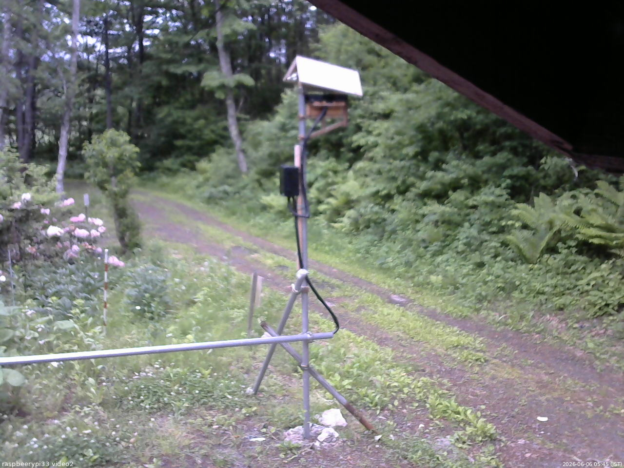 長野県菅平高原 ゆたか山荘 南側 2026/06/06 05:45