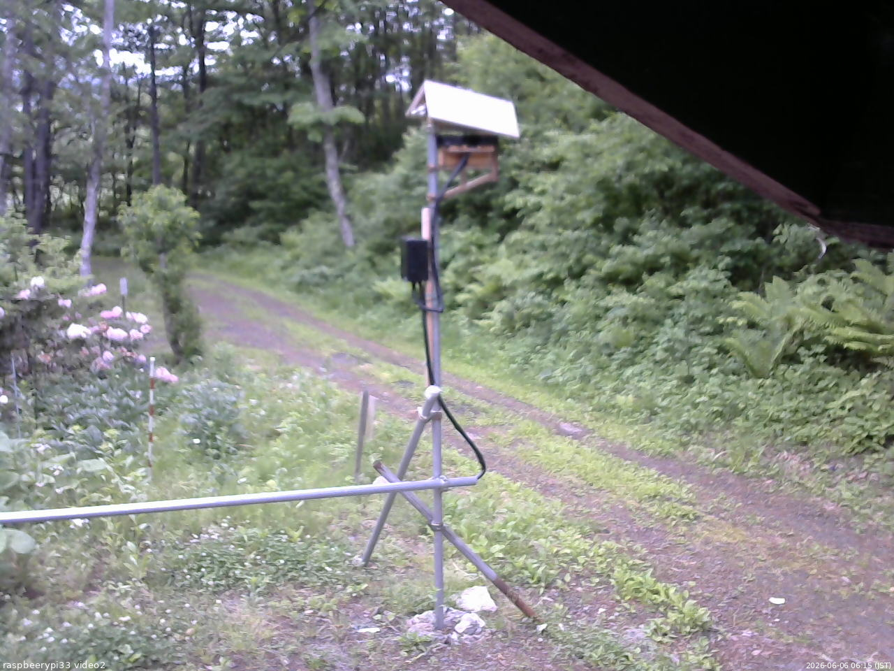 長野県菅平高原 ゆたか山荘 南側 2026/06/06 06:15