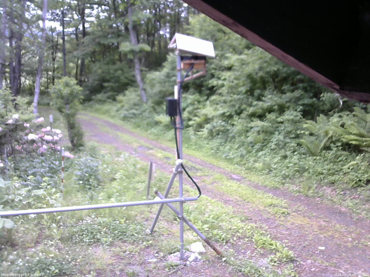 長野県菅平高原 ゆたか山荘 南側 2026/06/06 06:30