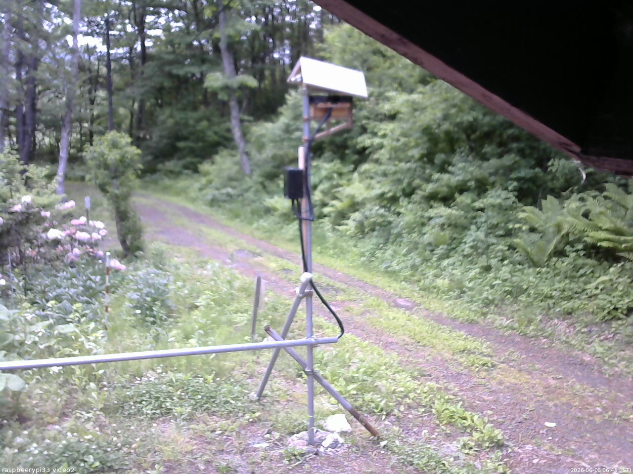 長野県菅平高原 ゆたか山荘 南側 2026/06/06 06:45