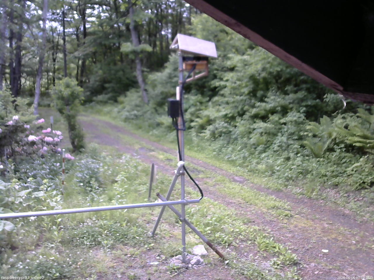 長野県菅平高原 ゆたか山荘 南側 2026/06/06 07:00