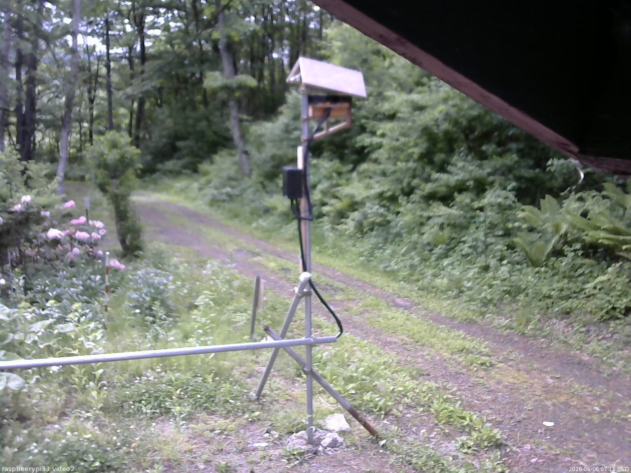 長野県菅平高原 ゆたか山荘 南側 2026/06/06 07:15