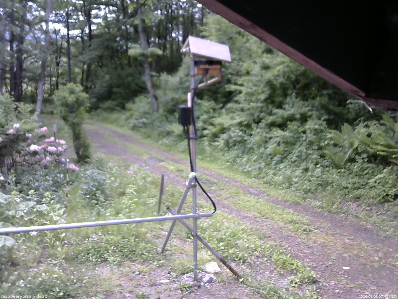 長野県菅平高原 ゆたか山荘 南側 2026/06/06 07:45