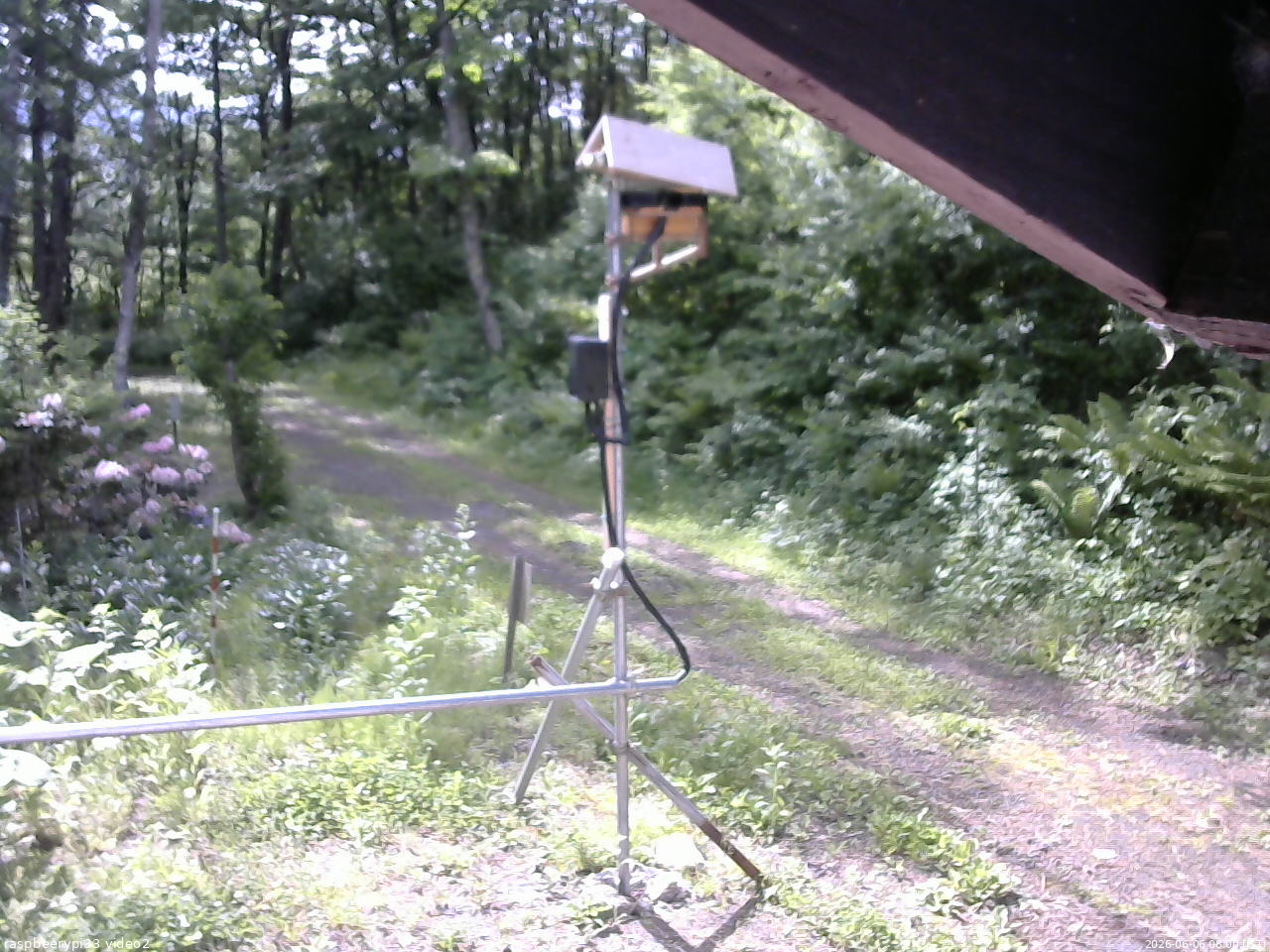 長野県菅平高原 ゆたか山荘 南側 2026/06/06 08:00