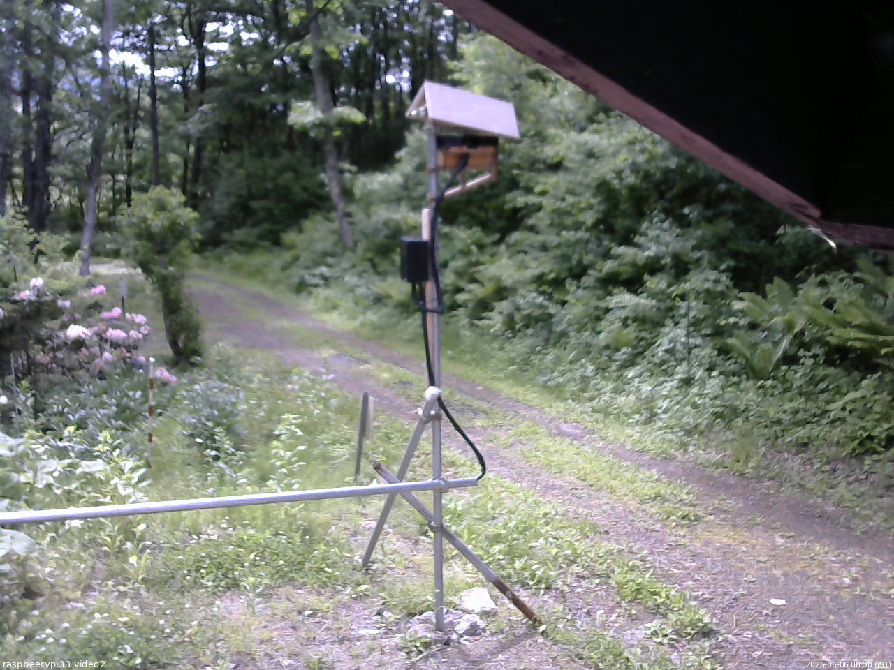 長野県菅平高原 ゆたか山荘 南側 2026/06/06 08:30