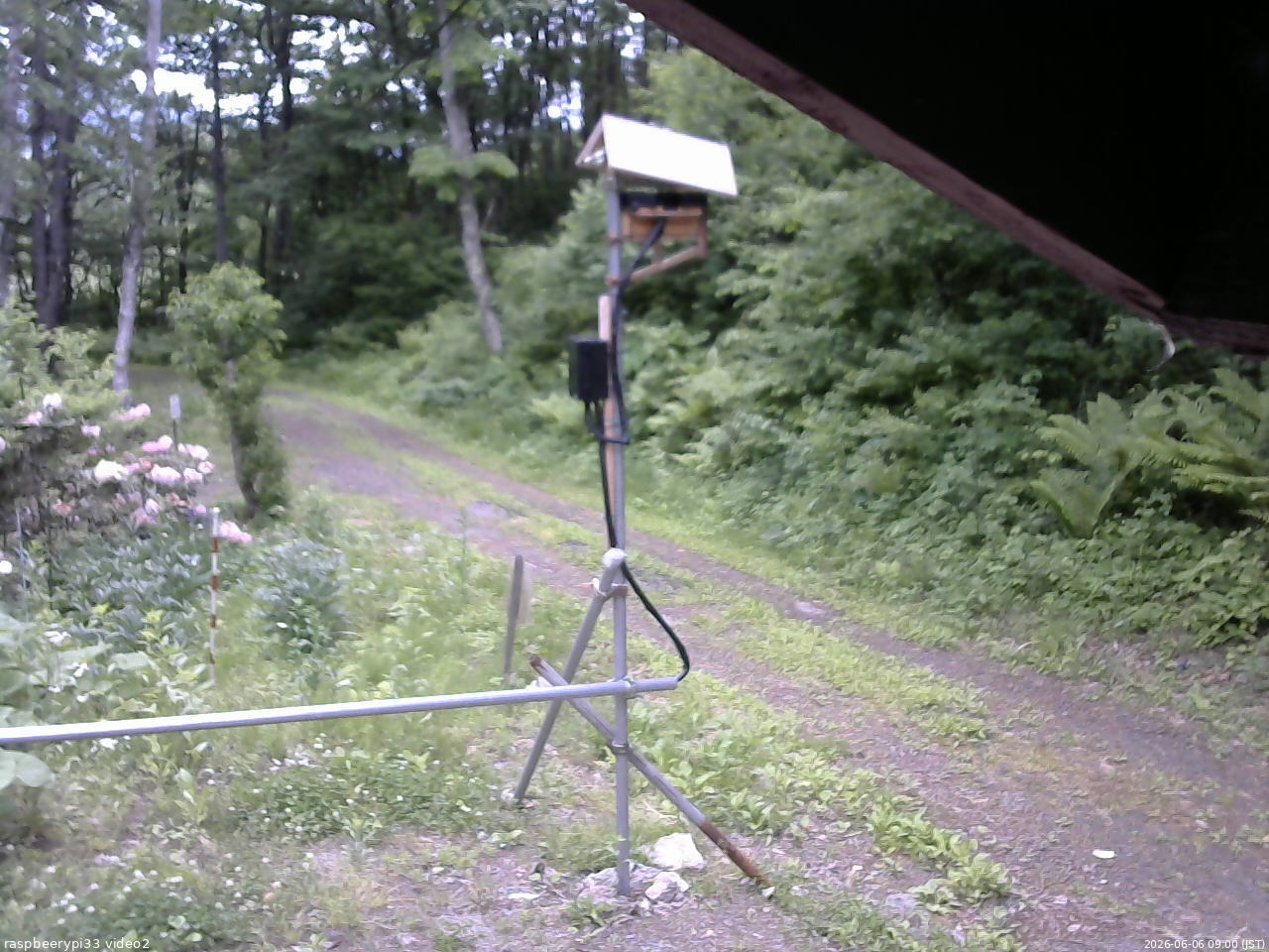 長野県菅平高原 ゆたか山荘 南側 2026/06/06 09:00
