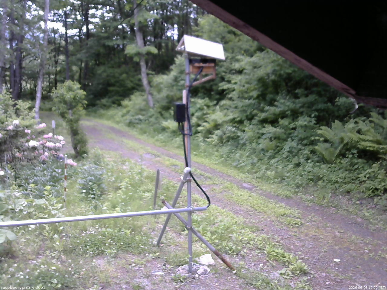 長野県菅平高原 ゆたか山荘 南側 2026/06/06 10:00