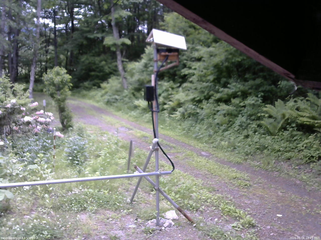 長野県菅平高原 ゆたか山荘 南側 2026/06/06 10:45