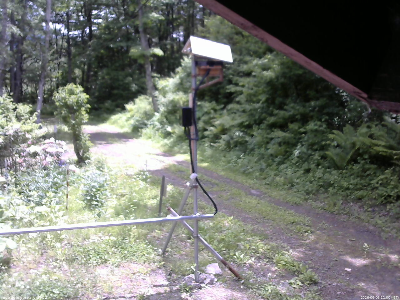 長野県菅平高原 ゆたか山荘 南側 2026/06/06 11:00