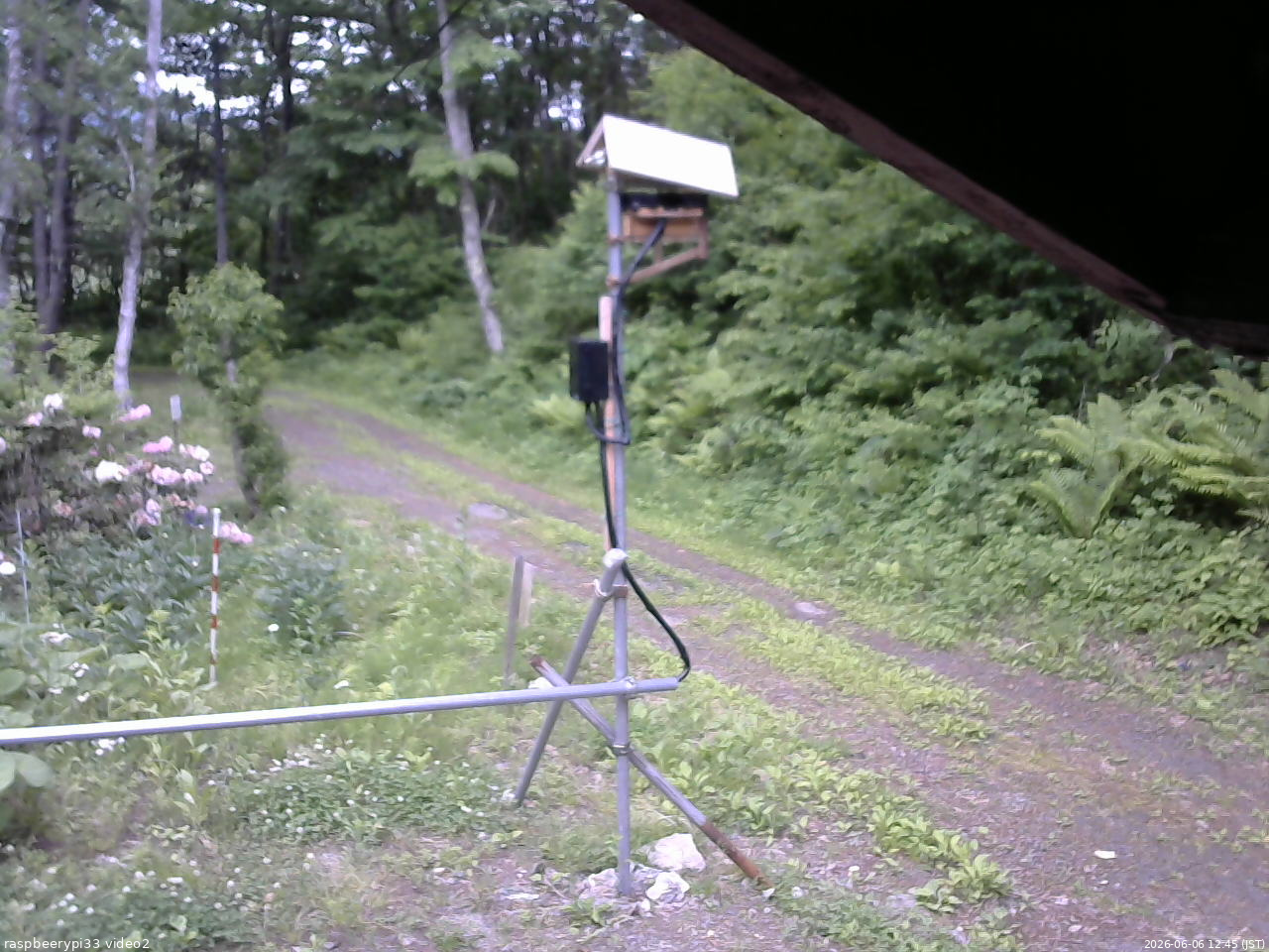 長野県菅平高原 ゆたか山荘 南側 2026/06/06 12:45