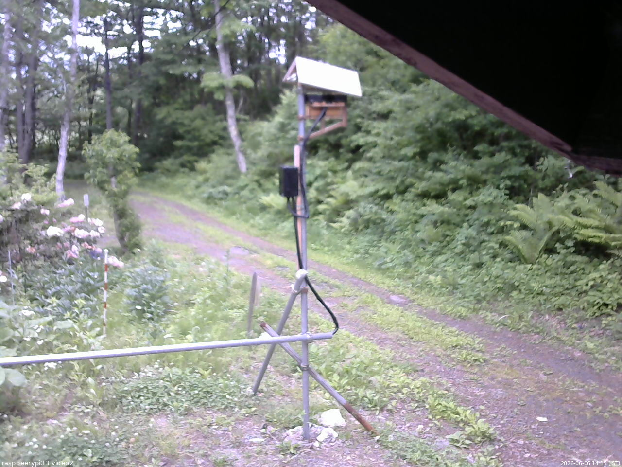 長野県菅平高原 ゆたか山荘 南側 2026/06/06 14:15
