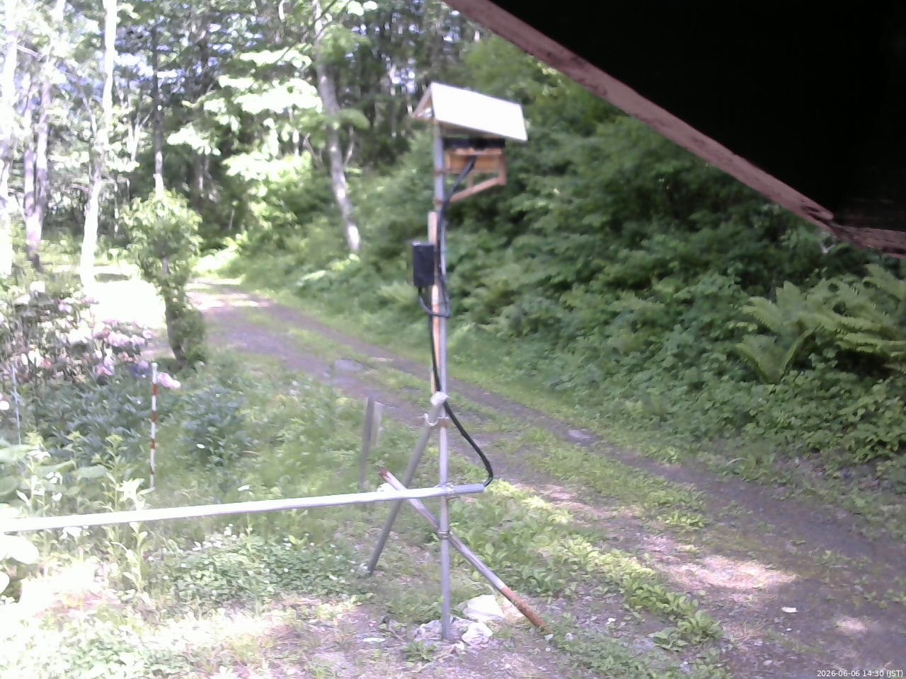 長野県菅平高原 ゆたか山荘 南側 2026/06/06 14:30