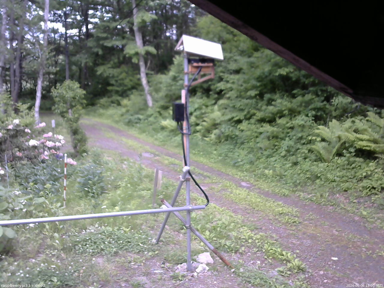 長野県菅平高原 ゆたか山荘 南側 2026/06/06 15:00