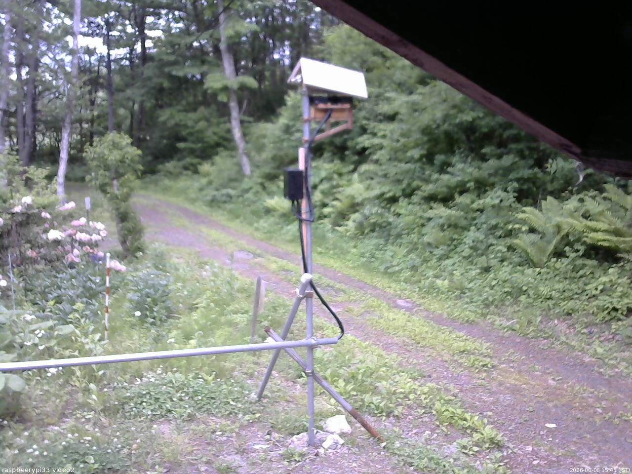 長野県菅平高原 ゆたか山荘 南側 2026/06/06 15:45