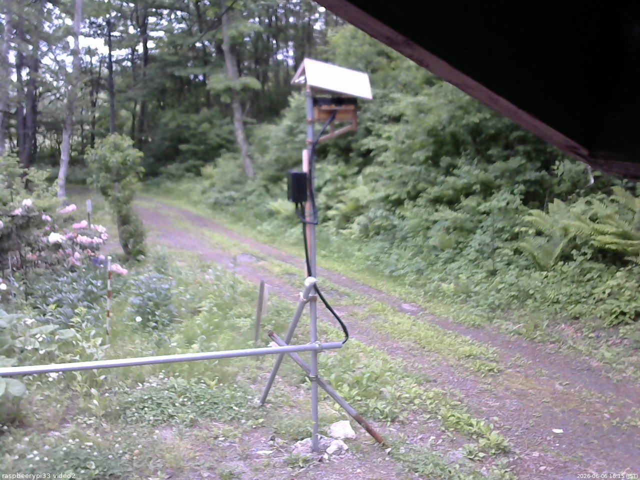 長野県菅平高原 ゆたか山荘 南側 2026/06/06 16:15