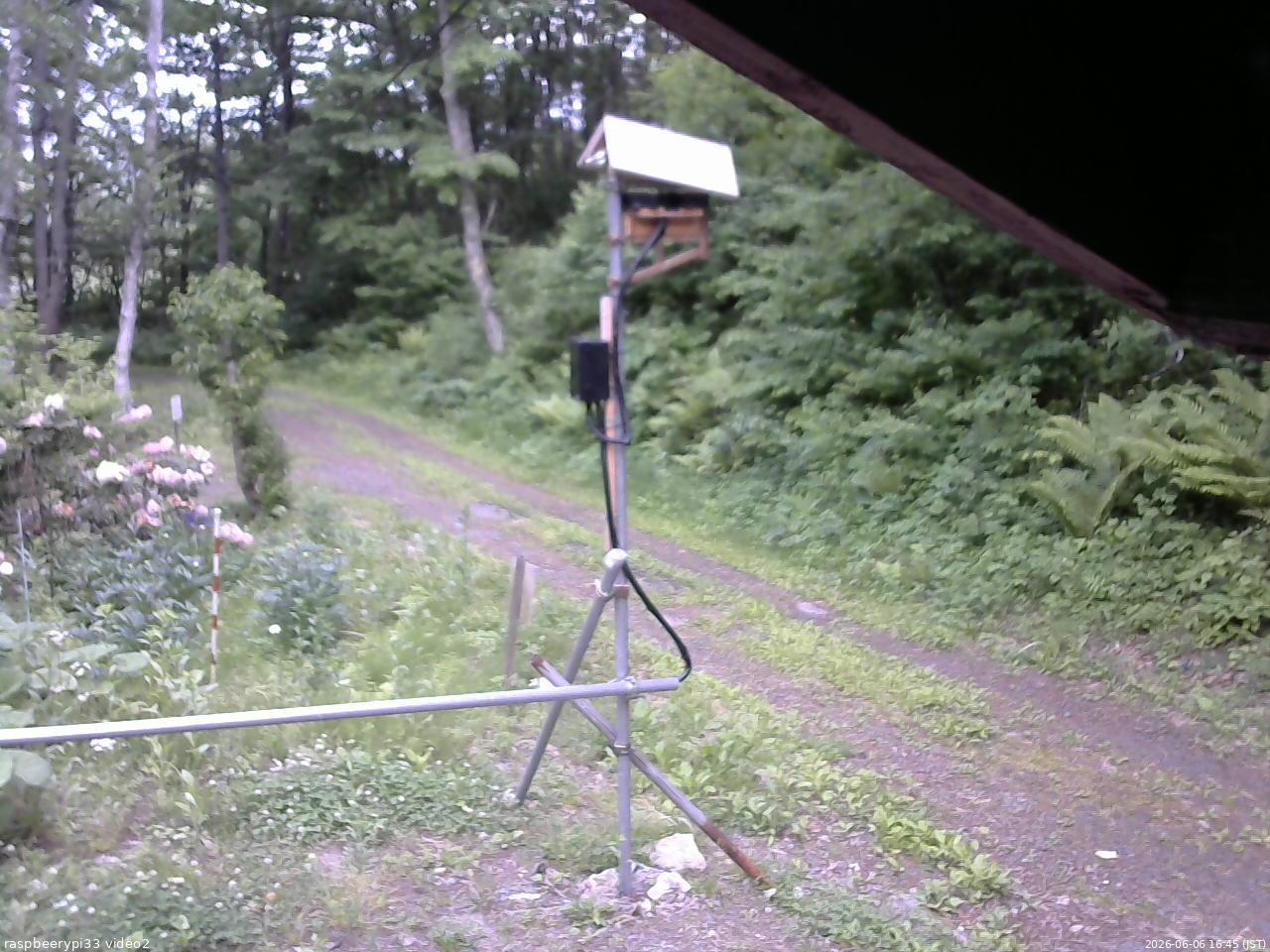 長野県菅平高原 ゆたか山荘 南側 2026/06/06 16:45