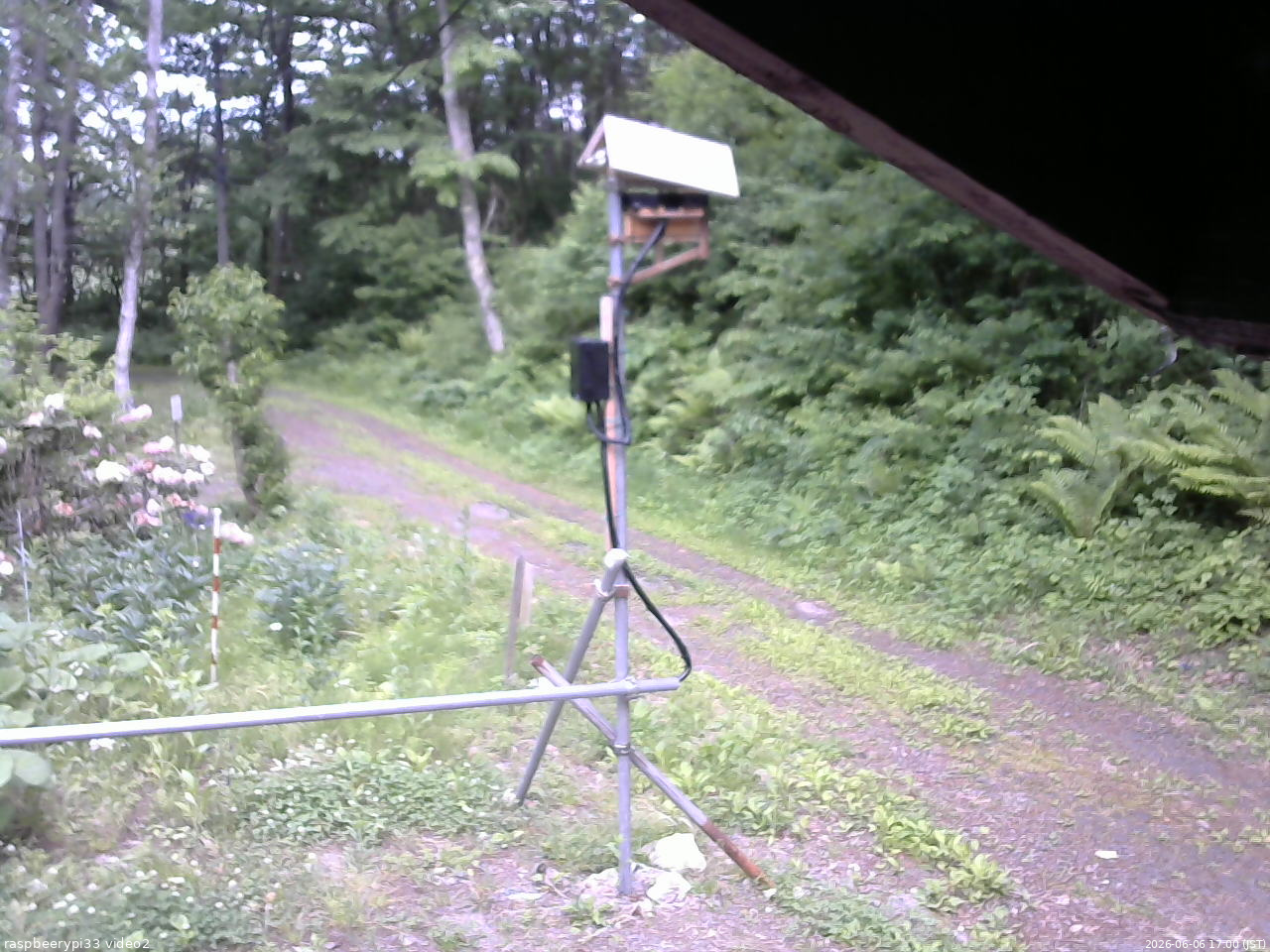 長野県菅平高原 ゆたか山荘 南側 2026/06/06 17:00