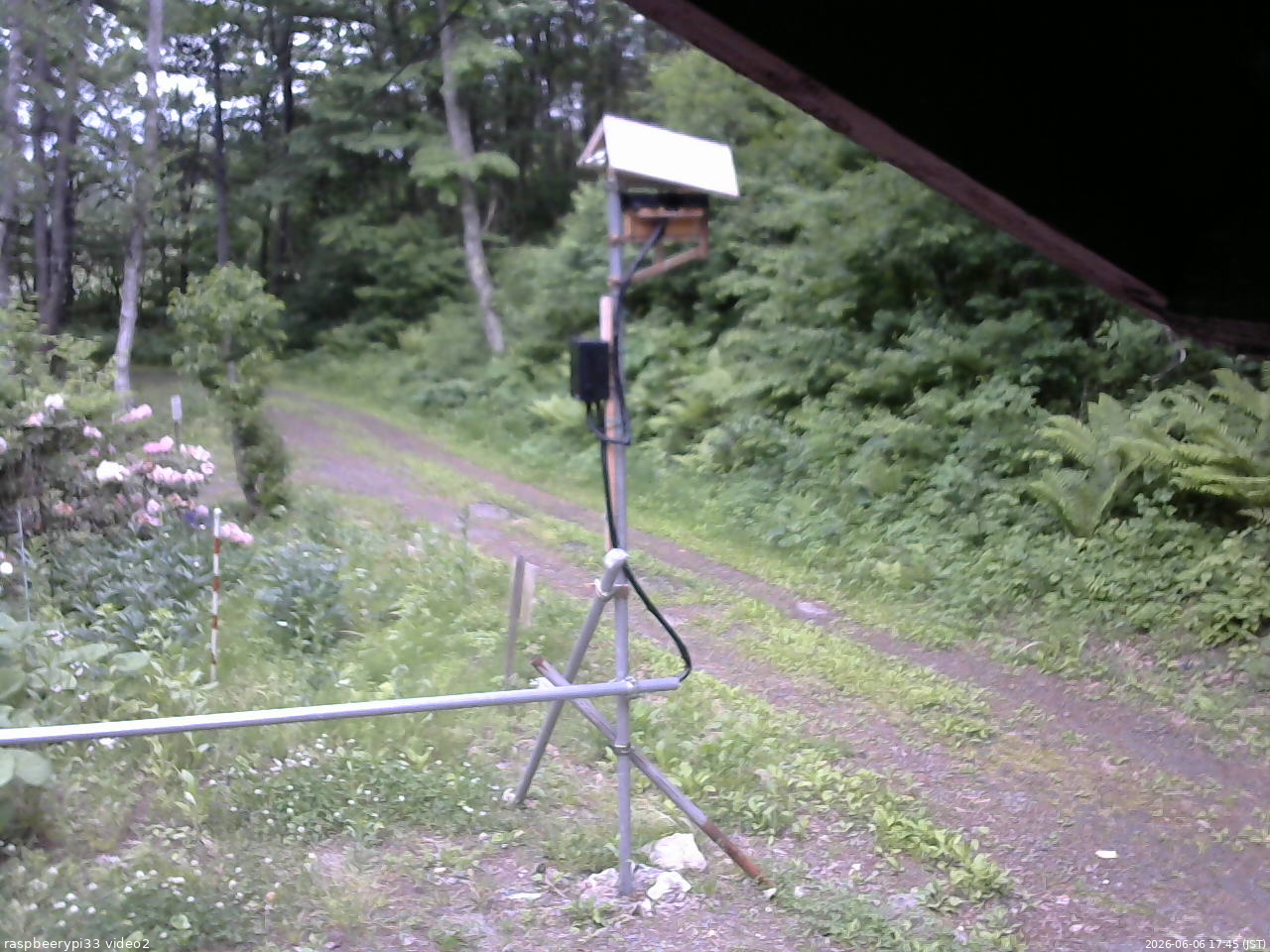 長野県菅平高原 ゆたか山荘 南側 2026/06/06 17:45