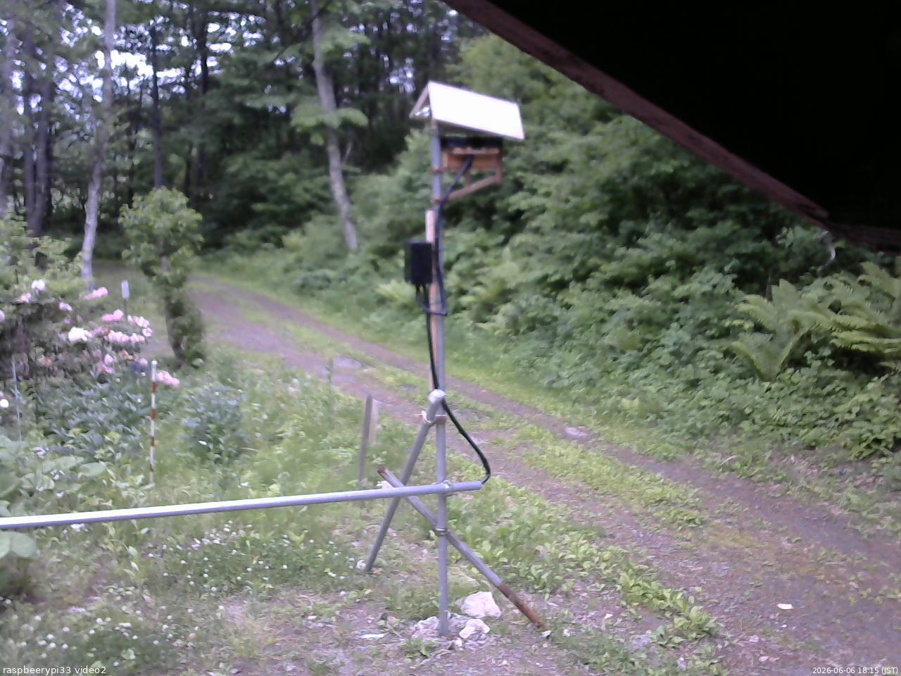 長野県菅平高原 ゆたか山荘 南側 2026/06/06 18:15