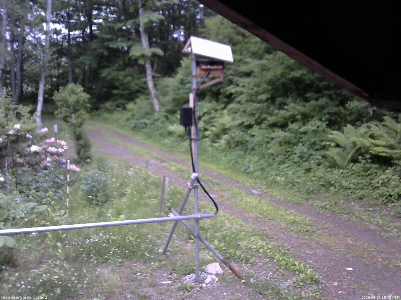 長野県菅平高原 ゆたか山荘 南側 2026/06/06 18:45