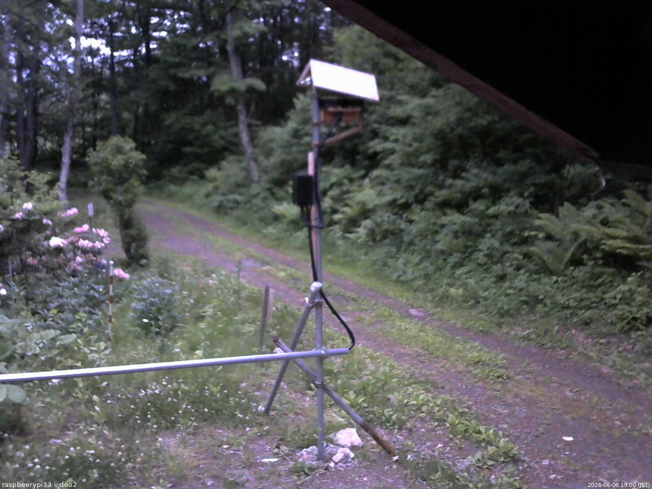 長野県菅平高原 ゆたか山荘 南側 2026/06/06 19:00