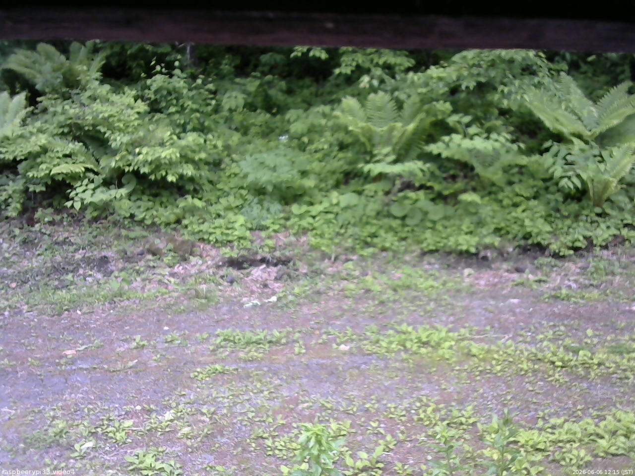 長野県菅平高原 ゆたか山荘 東側(坂下) 2026/06/06 12:15