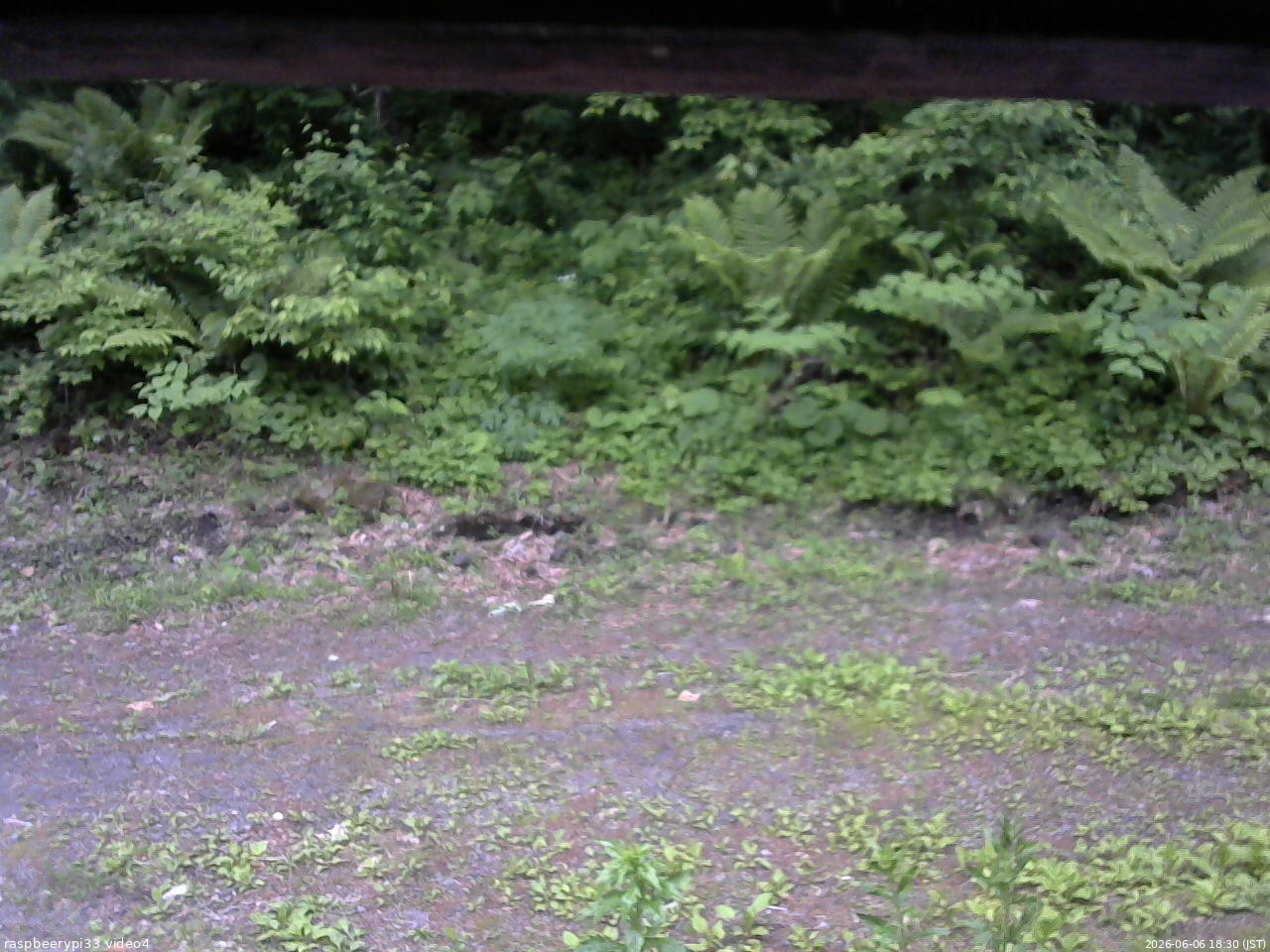 長野県菅平高原 ゆたか山荘 東側(坂下) 2026/06/06 18:30