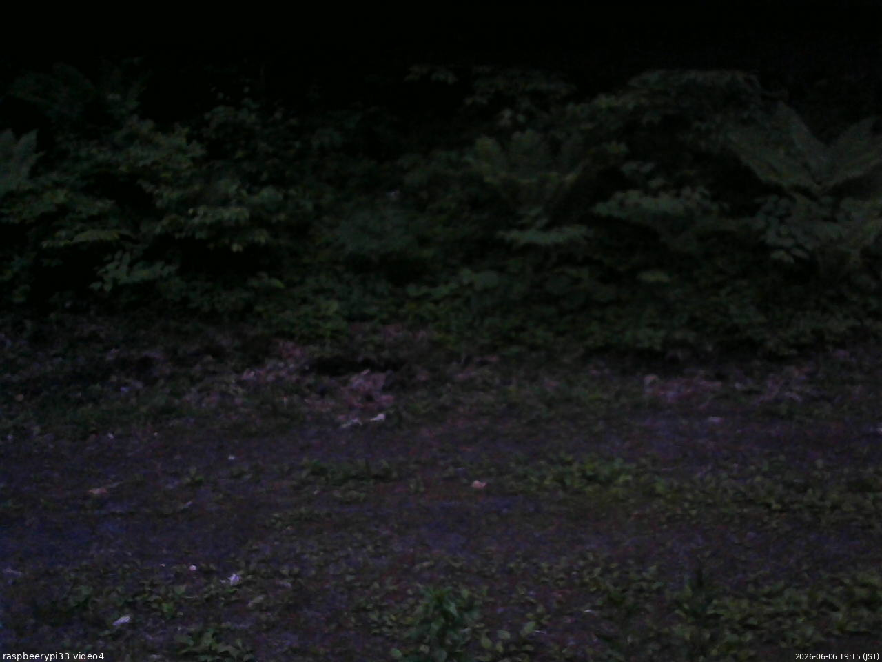 長野県菅平高原 ゆたか山荘 東側(坂下) 2026/06/06 19:15