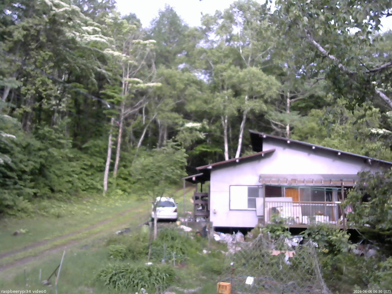 長野県菅平高原 ゆたか山荘 西側(坂上) 2026/06/06 06:30