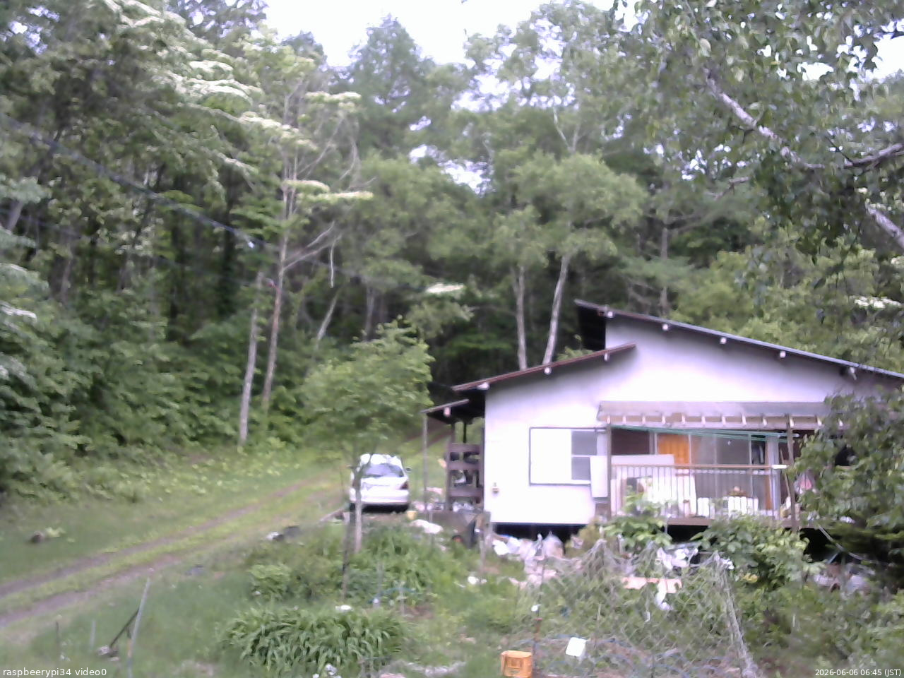 長野県菅平高原 ゆたか山荘 西側(坂上) 2026/06/06 06:45