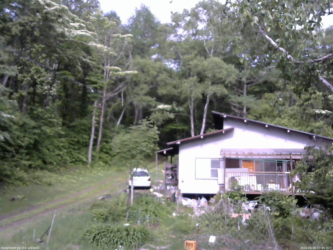 長野県菅平高原 ゆたか山荘 西側(坂上) 2026/06/06 07:45