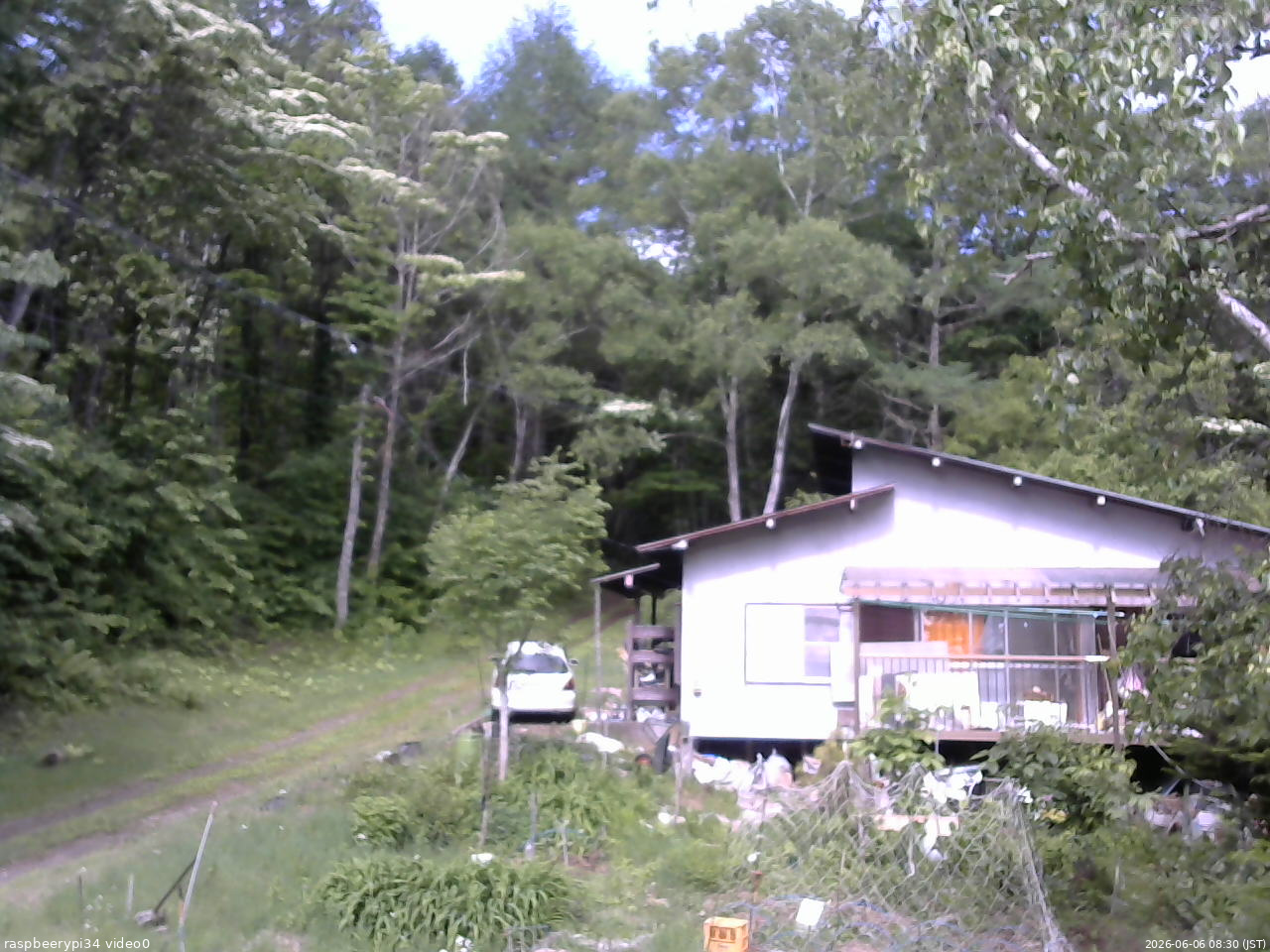 長野県菅平高原 ゆたか山荘 西側(坂上) 2026/06/06 08:30