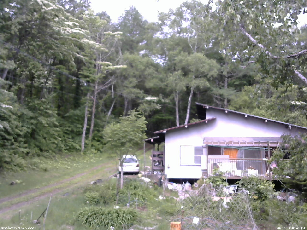 長野県菅平高原 ゆたか山荘 西側(坂上) 2026/06/06 08:45