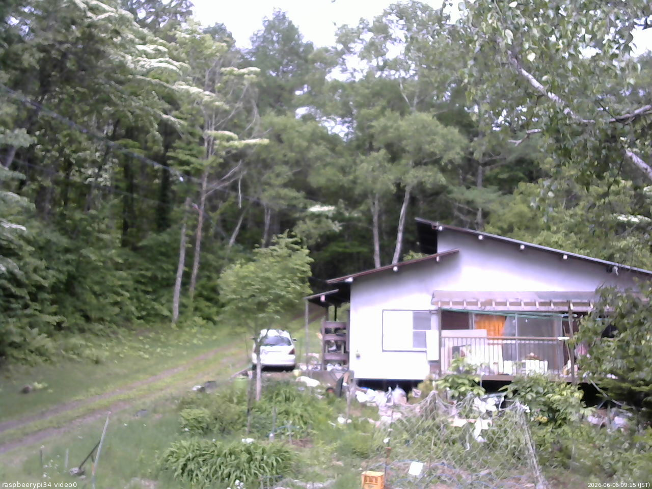長野県菅平高原 ゆたか山荘 西側(坂上) 2026/06/06 09:15