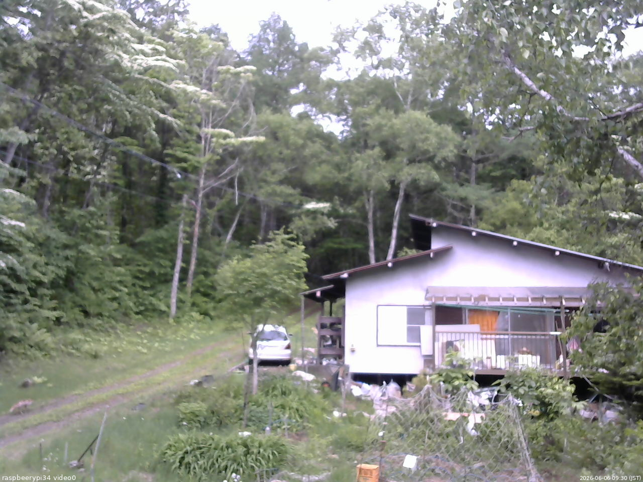 長野県菅平高原 ゆたか山荘 西側(坂上) 2026/06/06 09:30