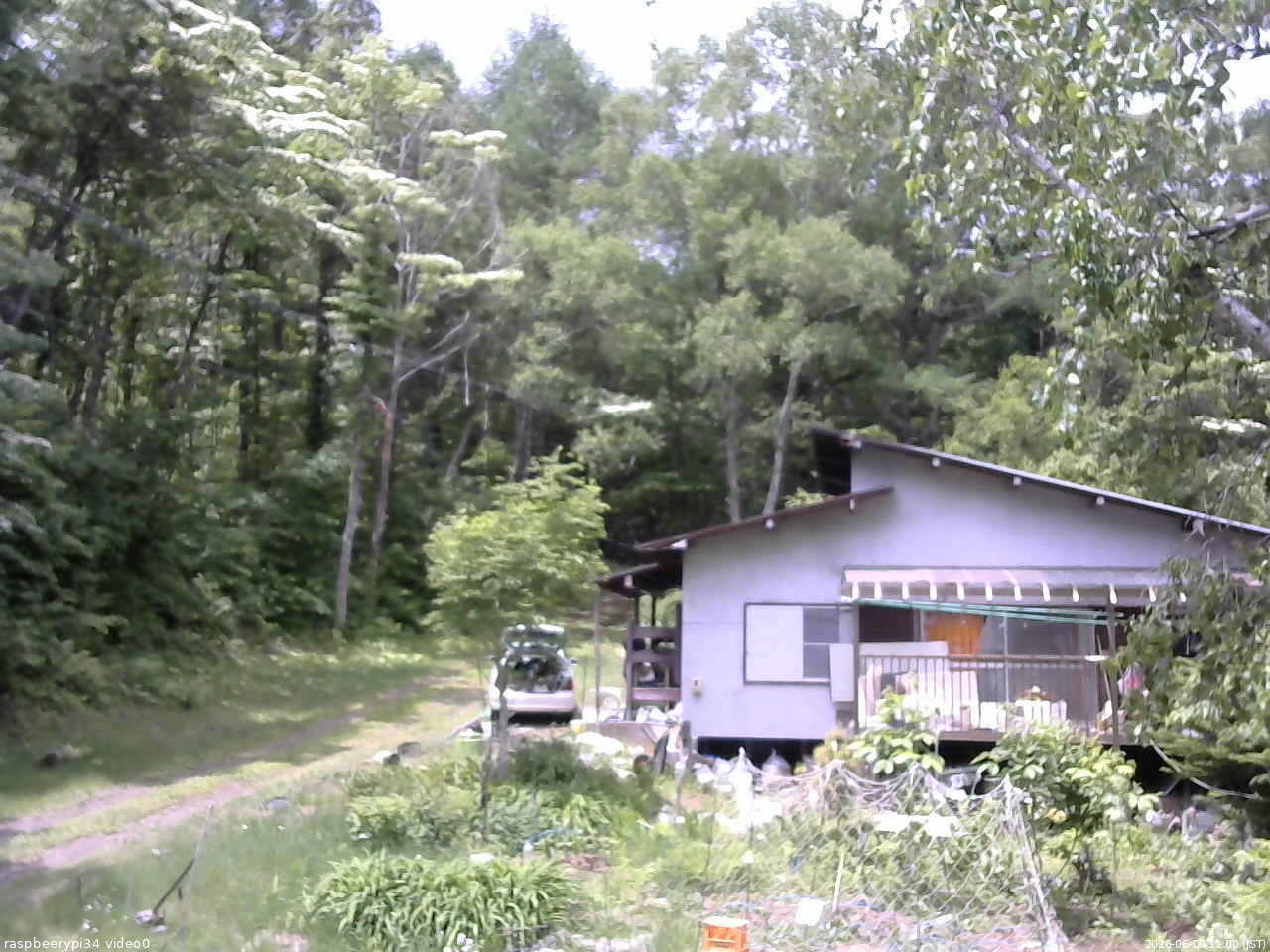 長野県菅平高原 ゆたか山荘 西側(坂上) 2026/06/06 11:00