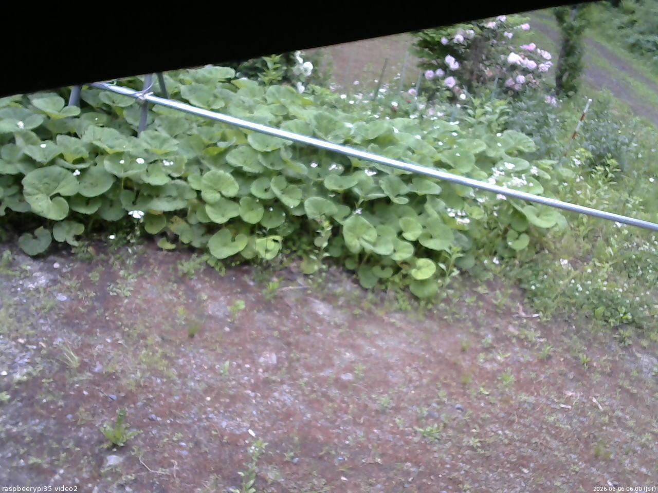 長野県菅平高原 ゆたか山荘 駐車場 2026/06/06 06:00