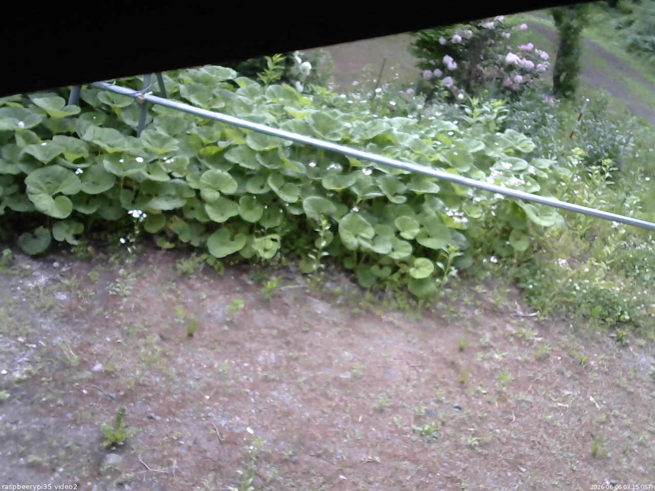 長野県菅平高原 ゆたか山荘 駐車場 2026/06/06 07:15