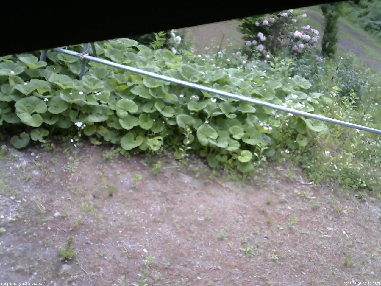 長野県菅平高原 ゆたか山荘 駐車場 2026/06/06 07:30