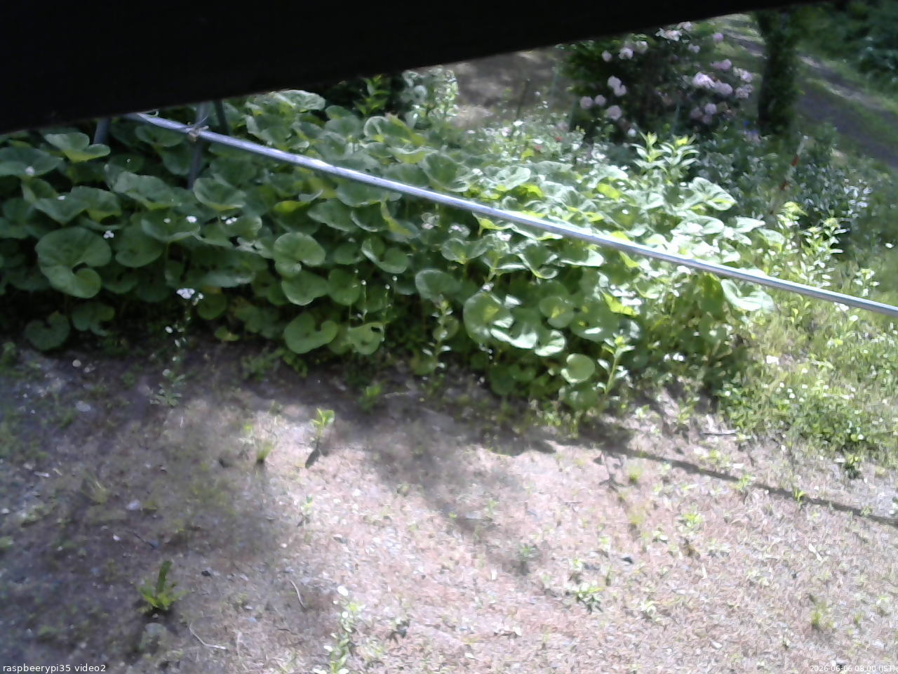長野県菅平高原 ゆたか山荘 駐車場 2026/06/06 08:00