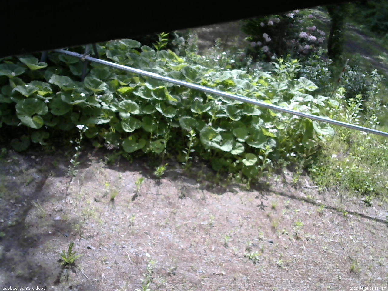 長野県菅平高原 ゆたか山荘 駐車場 2026/06/06 08:15