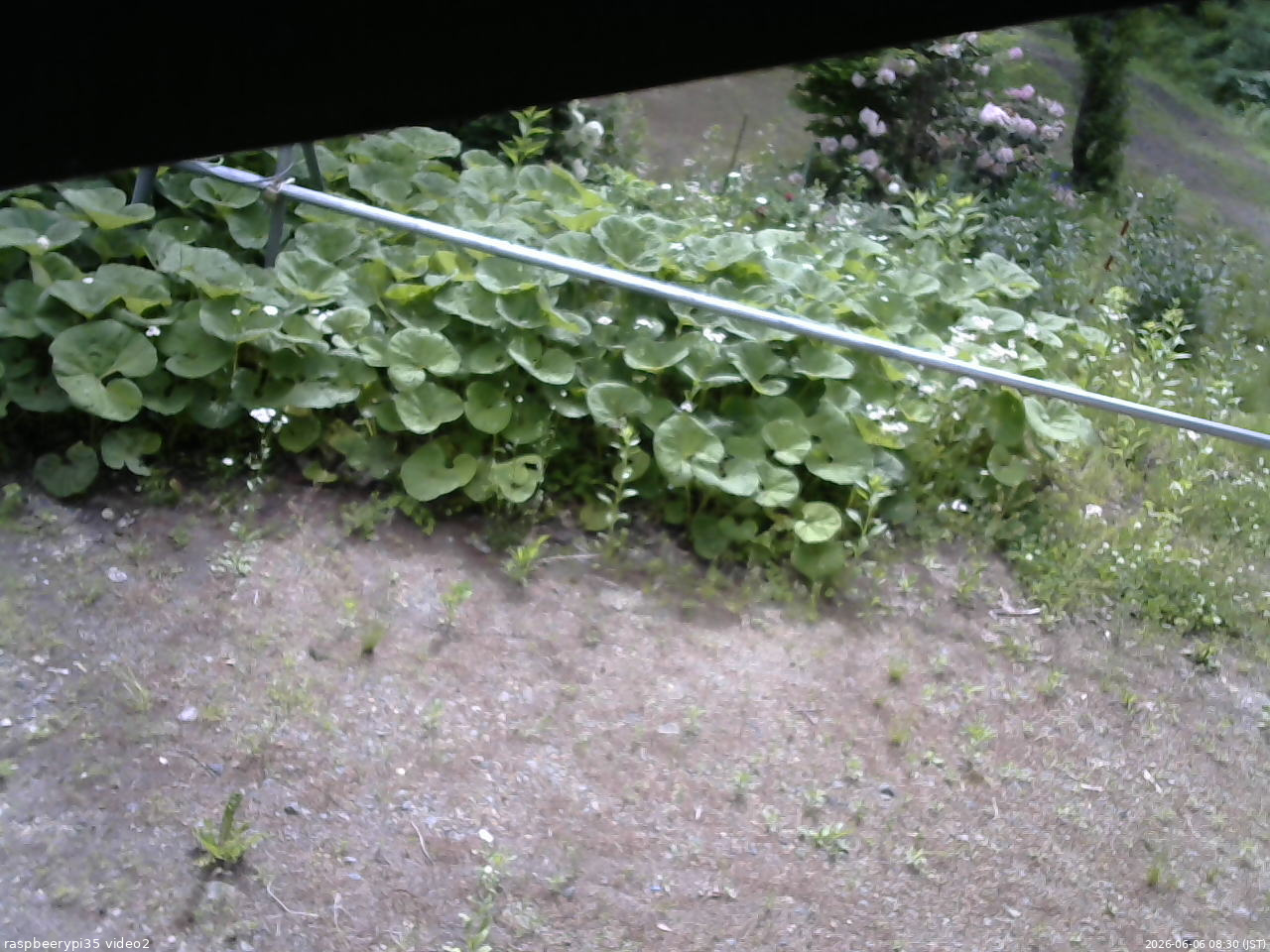 長野県菅平高原 ゆたか山荘 駐車場 2026/06/06 08:30